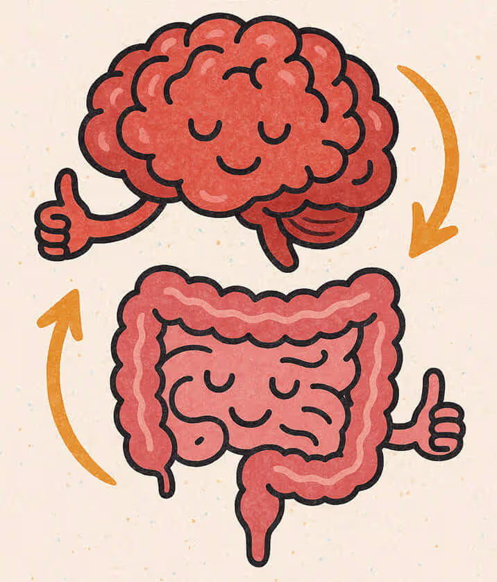 Cérebro e intestino em harmonia